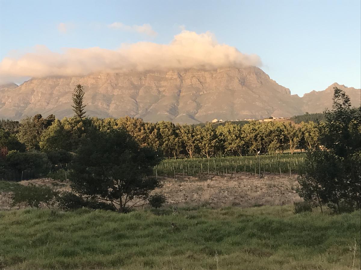 At Home In Mostertsdrift Stellenbosch Luaran gambar