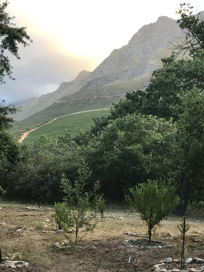 At Home In Mostertsdrift Stellenbosch Luaran gambar